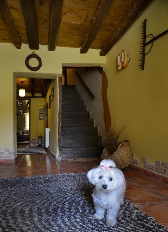 Penzion La Casita De Leire Tamajon Exteriér fotografie