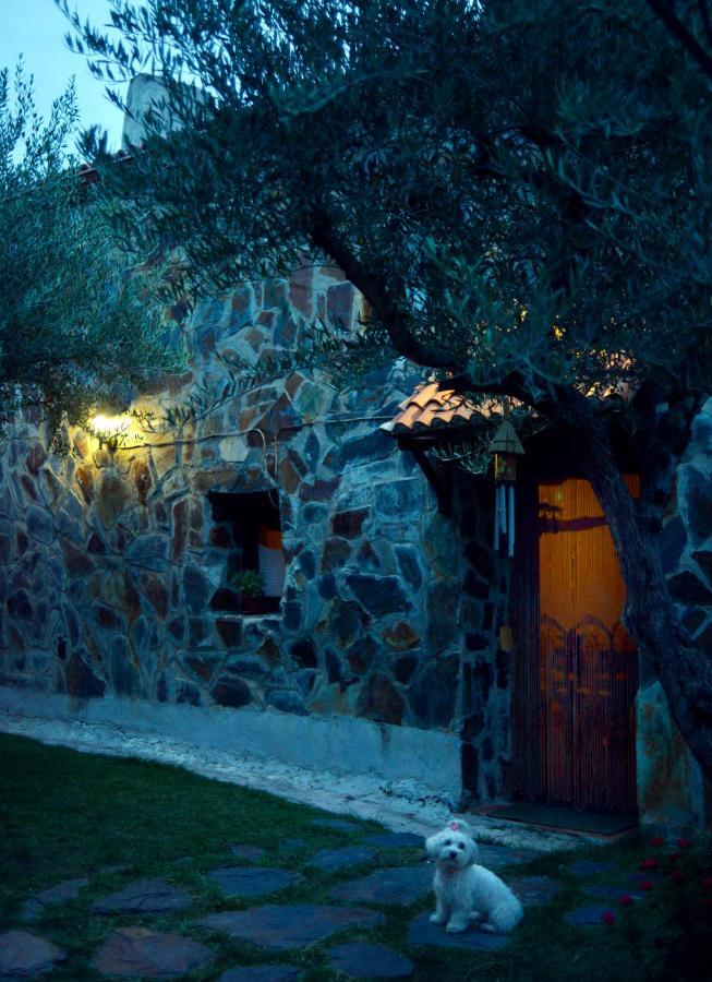 Penzion La Casita De Leire Tamajon Exteriér fotografie