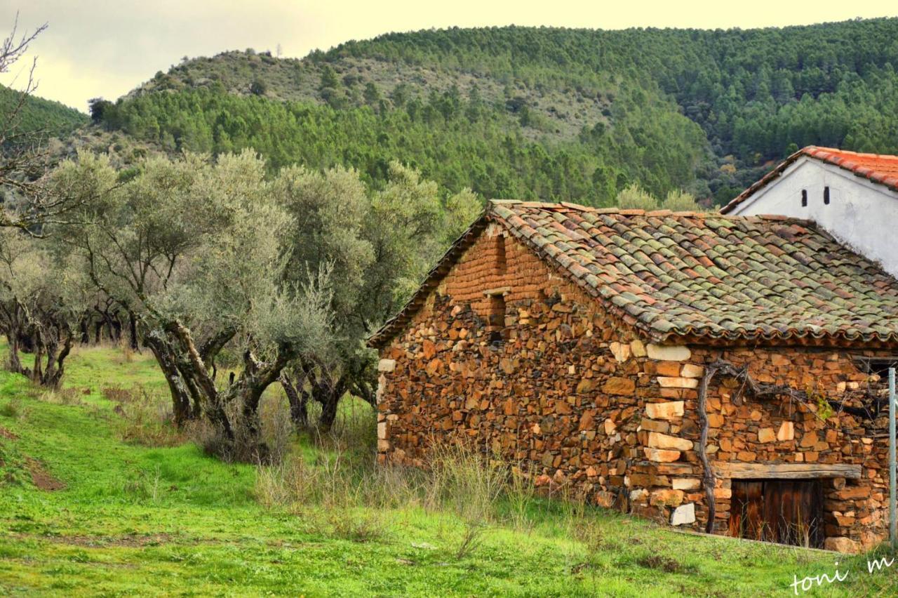 Penzion La Casita De Leire Tamajon Exteriér fotografie